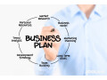 expert-business-plan-development-service-in-spring-texas-small-0