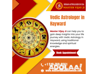 Vedic Astrologer in Hayward, USA