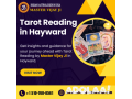 tarot-reading-in-haywardbest-tarot-reading-specialists-in-hayward-small-0