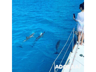 Snorkeling Boat Trips Waikiki