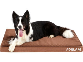 Dog Beds for Medium Dogs - Made4Pets