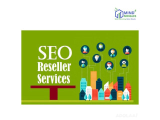 Fueling Digital Success: SEO Reseller Services in India