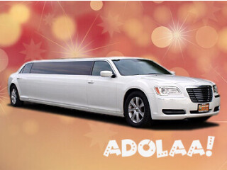 Affordable Limousine And Party Bus Brooklyn