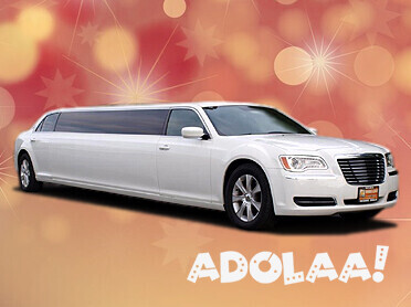 affordable-limousine-and-party-bus-brooklyn-big-0