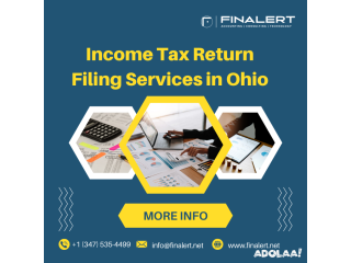 Income Tax Return Filing Services in Ohio,bedford | finalertllc