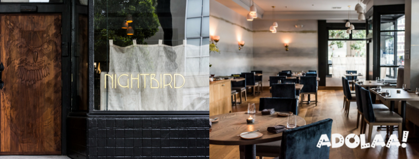 nightbird-where-elegance-meets-community-in-the-heart-of-san-francisco-big-0