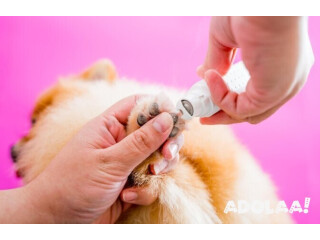 Pet Nail Trimming Services