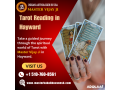 tarot-reading-in-hayward-california-usa-small-0