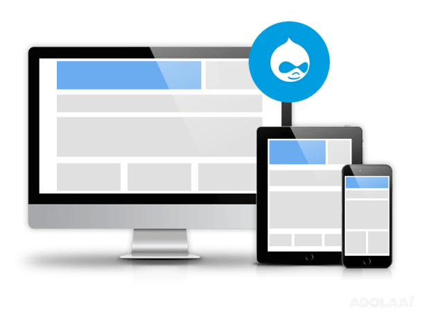 hire-drupal-cms-developer-promanage-it-solutions-big-0