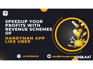 Speedup Your Profits With Revenue Schemes of Handyman App Like Uber