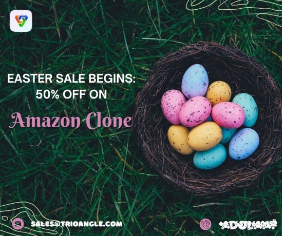 easter-sale-begins-50-off-on-amazon-clone-big-0