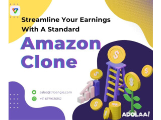 Streamline Your Earnings With A Standard Amazon Clone