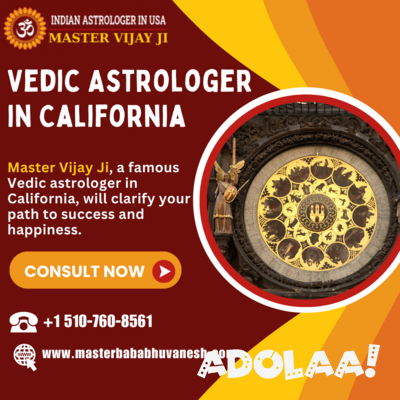 vedic-astrologer-in-california-big-0