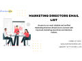 verified-marketing-directors-email-list-providers-in-usa-uk-small-0