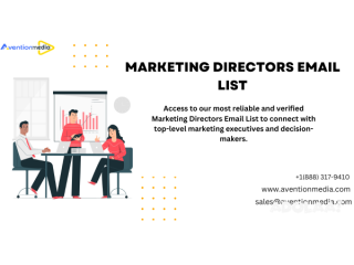 Verified Marketing Directors Email List Providers In USA-UK