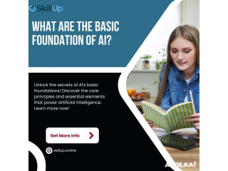 What are the basic foundation of AI?