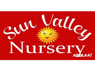 Sun Valley Nursery