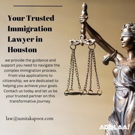 why-should-you-hire-an-immigration-lawyer-in-houston-big-3