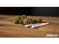 legal-weed-delivery-service-from-dc-to-virginia-small-0