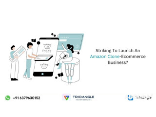 Striking To Launch An Amazon Clone-Ecommerce Business?