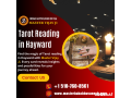 tarot-reading-in-hayward-california-small-0