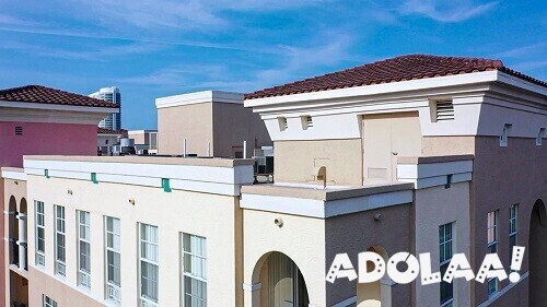 transform-your-space-with-professional-painting-services-in-florida-big-0
