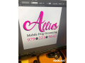 allies-pet-grooming-nyc-best-pet-grooming-nyc-small-0