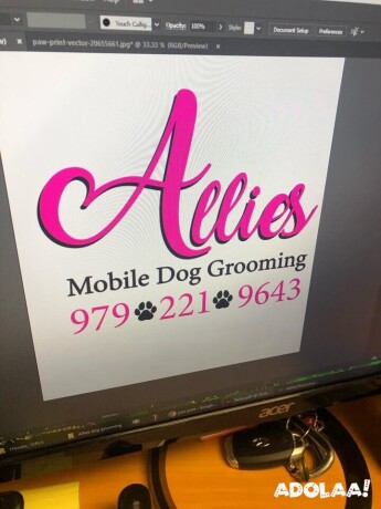 allies-pet-grooming-nyc-best-pet-grooming-nyc-big-0