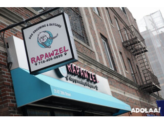 Rapawzel - Best pet grooming in NYC