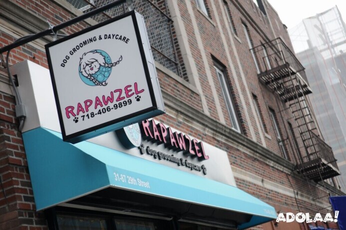 rapawzel-best-pet-grooming-in-nyc-big-0