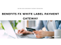 benefits-fx-white-label-payment-gateway-small-0