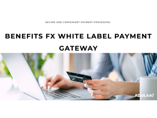 Benefits FX White label Payment Gateway