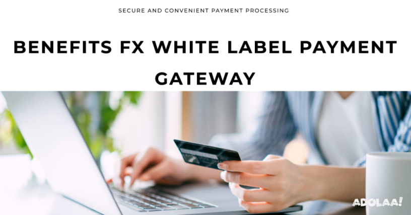 benefits-fx-white-label-payment-gateway-big-0