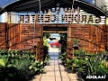 midtown-garden-center-plant-nursery-in-miami-small-2