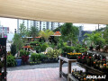 midtown-garden-center-plant-nursery-in-miami-small-0