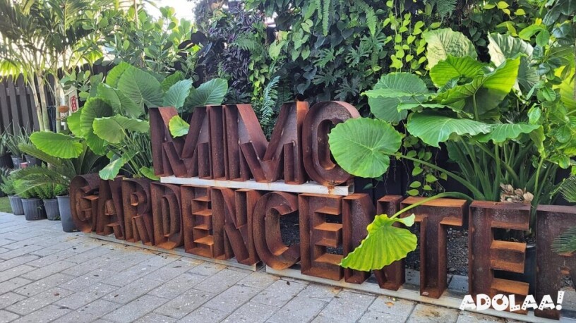 mimo-garden-center-plant-nursery-in-miami-florida-big-1