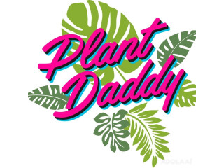 Plant Daddy - Miami Local Delivery and Pickup