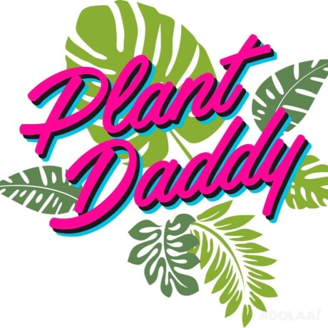 plant-daddy-miami-local-delivery-and-pickup-big-0