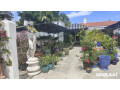 the-alton-road-nurseries-plant-nursery-in-miami-beach-florida-small-0