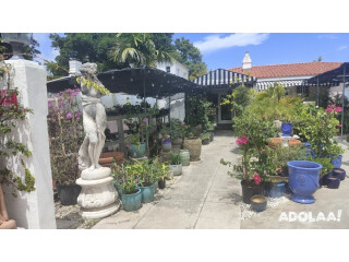 The Alton Road Nurseries - Plant nursery in Miami Beach, Florida