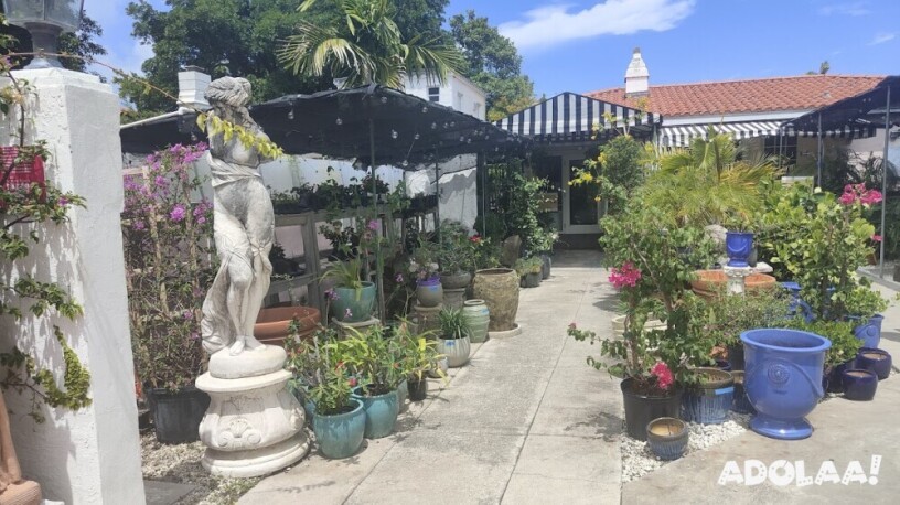 the-alton-road-nurseries-plant-nursery-in-miami-beach-florida-big-0