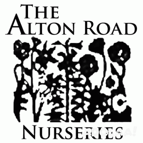 the-alton-road-nurseries-plant-nursery-in-miami-beach-florida-big-1