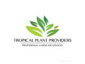 tropical-plant-providers-commercial-residential-landscaping-miami-small-0