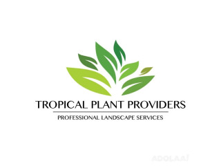 Tropical Plant Providers Commercial & Residential Landscaping - MIAMI