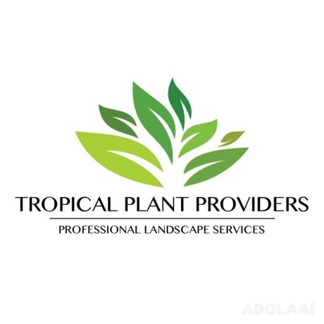 tropical-plant-providers-commercial-residential-landscaping-miami-big-0