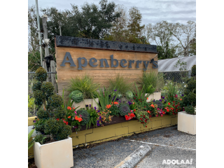 Apenberry's Gardens - Plant nursery in orlando fl