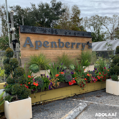 apenberrys-gardens-plant-nursery-in-orlando-fl-big-0