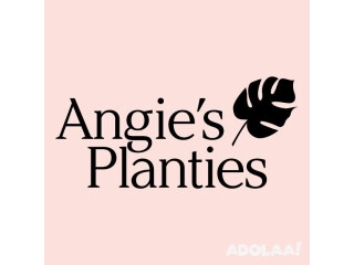 Angie's Planties - Plant nursery in Orlando, Florida