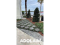 exotic-landscape-design-small-0