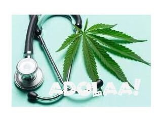 Medical Cannabis Certificate Virginia